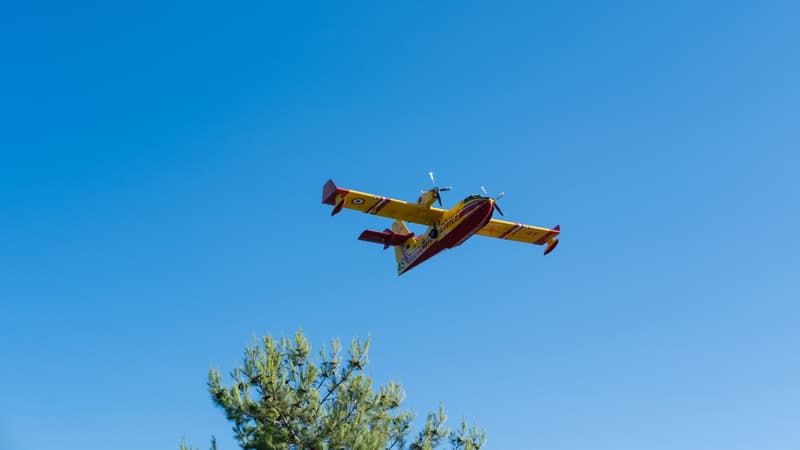 Pour "renforcer les pompiers français autour de Perpignan" et comme en 2022 en Gironde, l'UE envoie 4 avions bombardiers d'eau en France