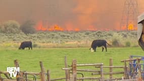 Un impressionnant incendie menace la ville de Spokane dans le Nord-Ouest des États-Unis