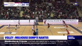 Volley: Mulhouse domine le leader Nantes