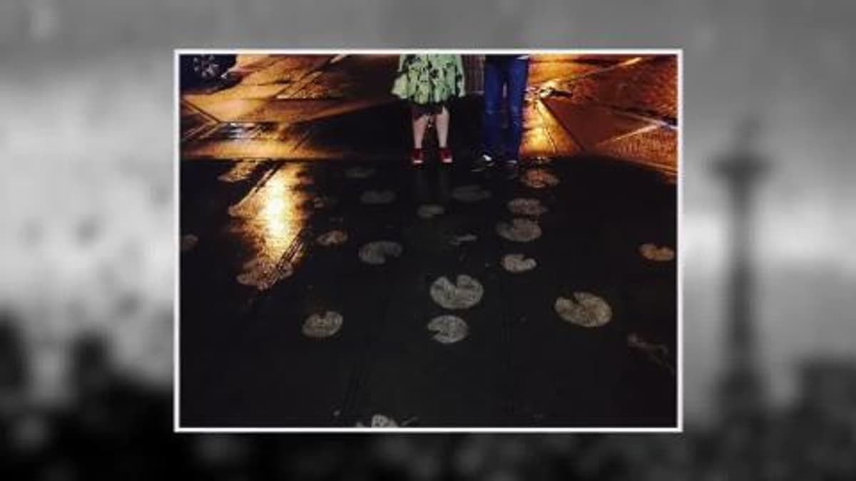 placeholder video