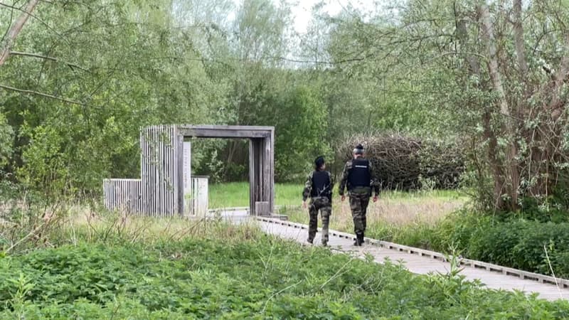 Seine-Maritime: une brigade de gendarmerie lutte contre la pollution dans la forêt de Brotonne