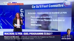 Écologie: quelles sont les mesures proposées par Emmanuel Macron et Marine Le Pen ?