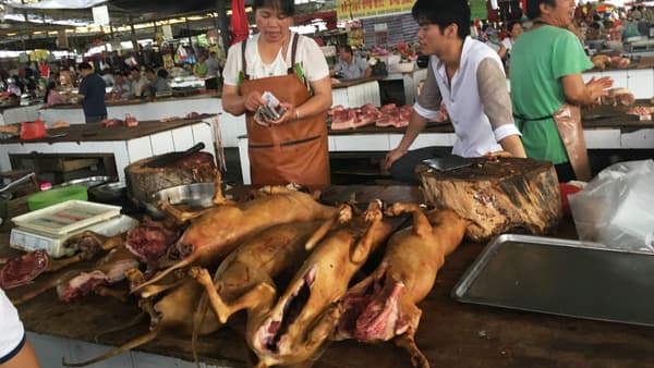 Des vendeurs de viande de chien à Yulin, en Chine, le 21 juin 2017 