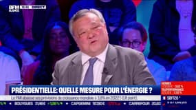 P.Nguyen (RN) :  “Nous mettrons 10 milliards d’euro en investissement dans le biogaz"