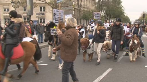 La filière du cheval refuse la mise en place de toutes subventions, primes ou fonds "cheval".