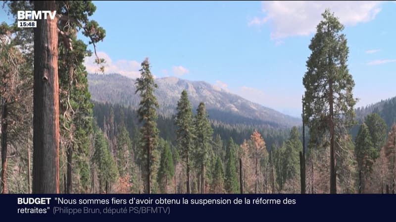 La Californie défie Donald Trump et offre l'entrée gratuite à plus de 200 parcs pour la journée Martin Luther King