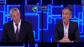 CMONJARDINIER.COM met en relation particuliers et professionnels du jardinage et offre des services digitalisés pour valoriser et faciliter la vie des professionnels du jardinage tout en simplifiant l’entretien paysager. 