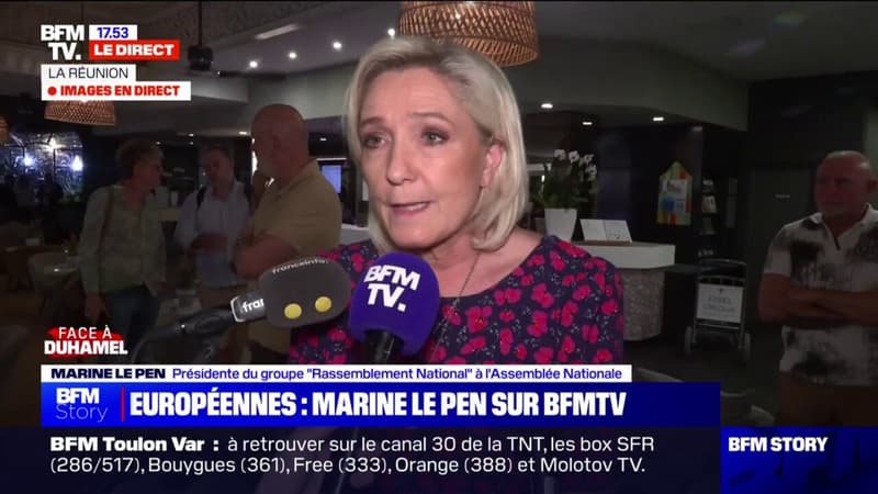 Élections européennes: pour Marine Le Pen (RN), Emmanuel Macron 