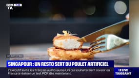 Qu'est ce que la viande artificielle ? BFMTV répond à vos questions