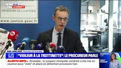"Violeur à la trottinette": le suspect mis en examen "a reconnu un seul fait de viol", annonce le procureur de Grenoble