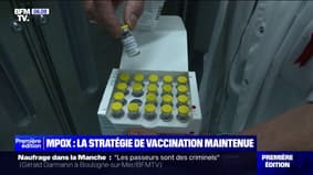 Monkeypox : quelle est la stratégie vaccinale de la Haute Autorité de Santé ?