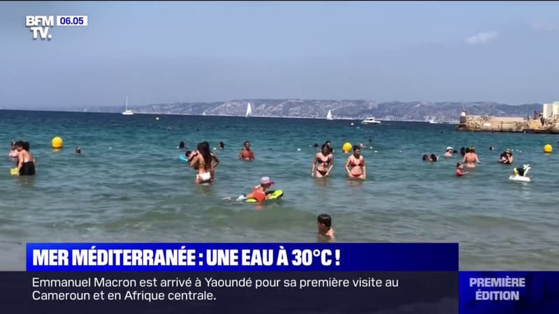 La Méditerranée bat des records de températures et frôle localement avec les 30°C