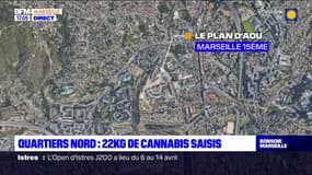 Marseille: 22 kg de cannabis saisis dans les quartiers nord