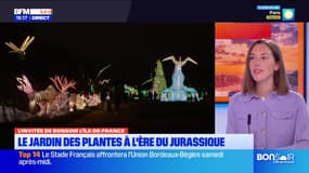Le Jardin des plantes à l'ère du jurassique