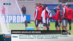 "Président Magnien!": "Gérard Depardieu, sors-nous ta vodka", le chant des supporters français