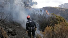 Un pompier tente d'éteindre un feu à Bastellica en Corse, le 25 mars 2017. (Photo d'illustration)