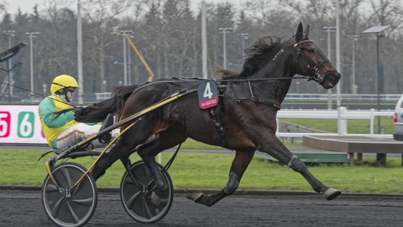 Vivid Wise As est le tenant du titre du Grand Critérium de Vitesse de la Côte d'Azur