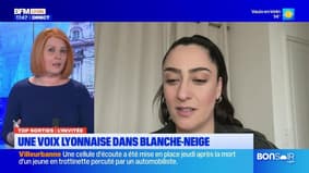 Top Sorties Lyon du vendredi 28 mars - Une voix lyonnaise dans Blanche-Neige 