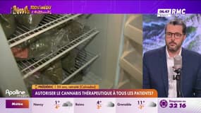 A vous de nous dire : Autoriser le cannabis thérapeutique à tous les patients ? - 02/01