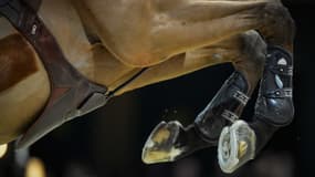 Équitation