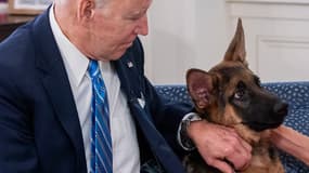 Joe Biden et son chien Commander, en décembre 2021 