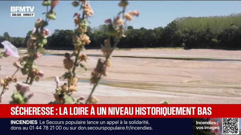 Sécheresse: le niveau de la Loire atteint un niveau critique