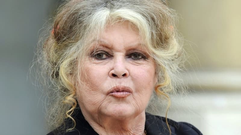 Brigitte Bardot (photo d'illustration)