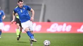 Andrea Belotti