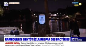 Yvelines: Rambouillet bientôt éclairée par des bactéries