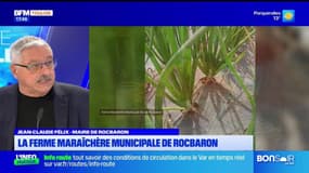 Planète locale du mercredi 26 mars - La ferme maraîchère municipale de Rocbaron