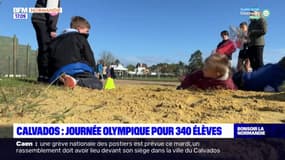 Calvados: une journée olympique pour 340 élèves à Merville-Franceville