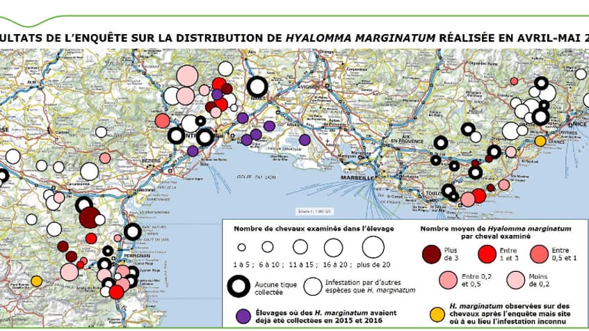 Les différents foyers répertoriés par l'ANSES 