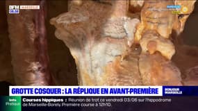 Découvrez la réplique de la grotte Cosquer en avant-première