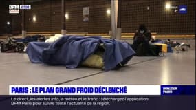 Paris: le plan grand froid déclenché