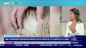 Morning Retail : Laines Paysannes, une campagne pour revaloriser les acteurs de la filière de la laine, par Noémie Wira - 19/09