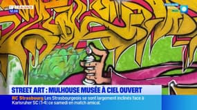 Mulhouse: un musée de street art à ciel ouvert
