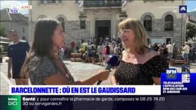 Barcelonnette: où en sont les travaux sur la route du Gaudissard ?
