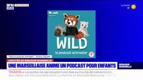 Une campagne de financement lancée par une Marseillaise, fondatrice du podcast Wild