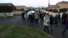 Une manifestation contre l'usine de tri mécano-biologique de Bordères-sur-l'Échez - Témoins BFMTV