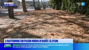 L'automne en plein mois d'août à Lyon