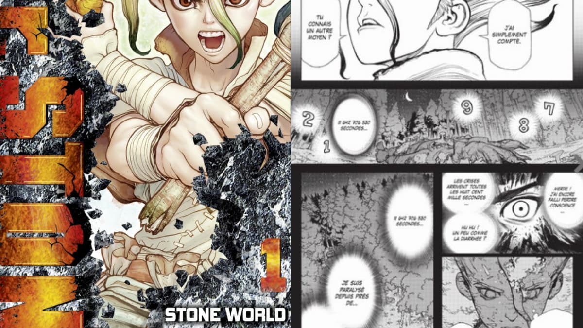 Dr. Stone