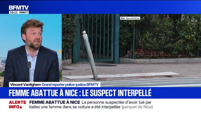 Meurtre de Lizabete à Nice: le suspect a été interpellé à Grasse