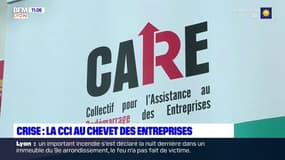 Face à la crise, la CCI Lyon Métropole crée une plateforme d'accompagnement des entreprises