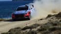 Thierry Neuville