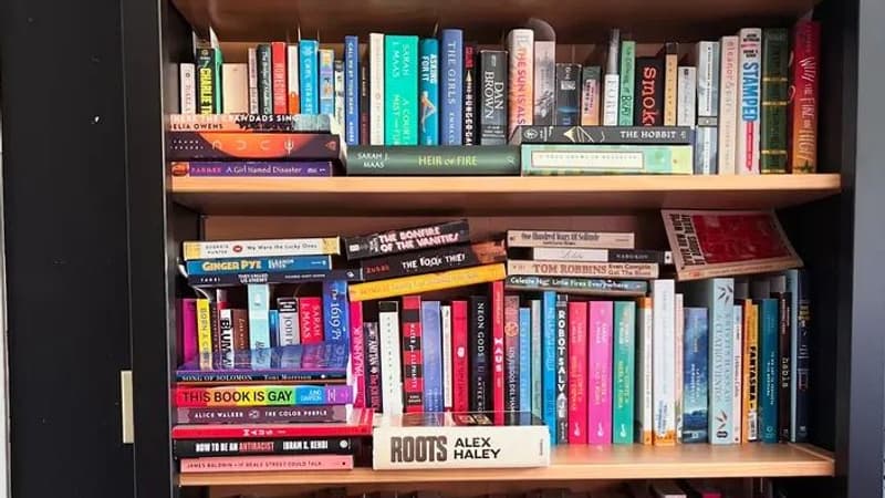 "La purge des bibliothèques doit cesser": comment des Américains tentent de lutter contre la censure de livres