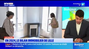Nord: le bilan immobilier de Lille en 2024