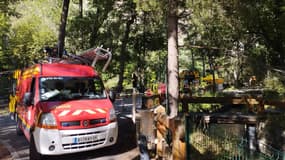 Une femme de 41 ans a été tuée par la chute d'un arbre dans le parc de la Schappe à Briançon le 3 août 2023.