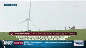 "On retrouve des animaux morts sans explication": des agriculteurs dénoncent les effets nocifs des éoliennes