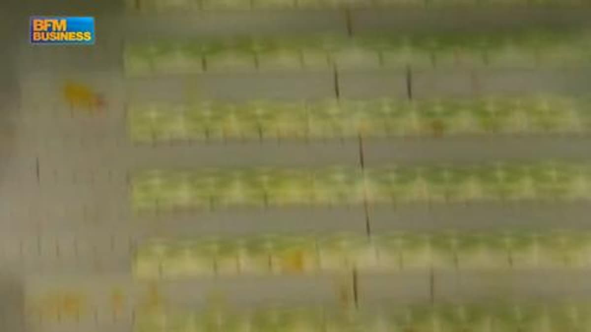 placeholder video