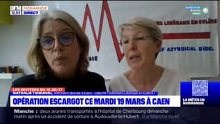 Caen: les infirmiers libéraux mènent une opération escargot mardi après-midi
